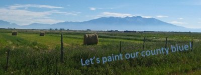 Photo Paint Our County Blue